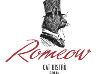 romeow cat bistrot