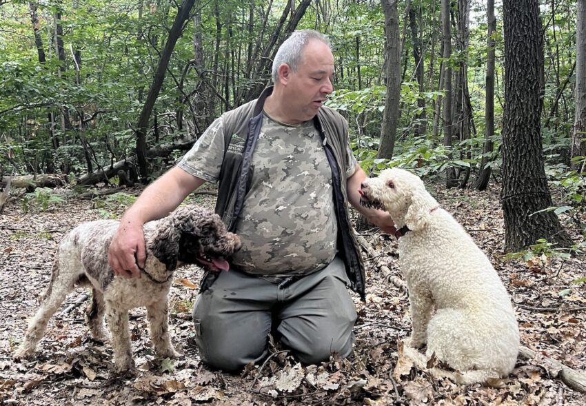 La ricerca del tartufo con i Lagotti, foto Giorgia Basili